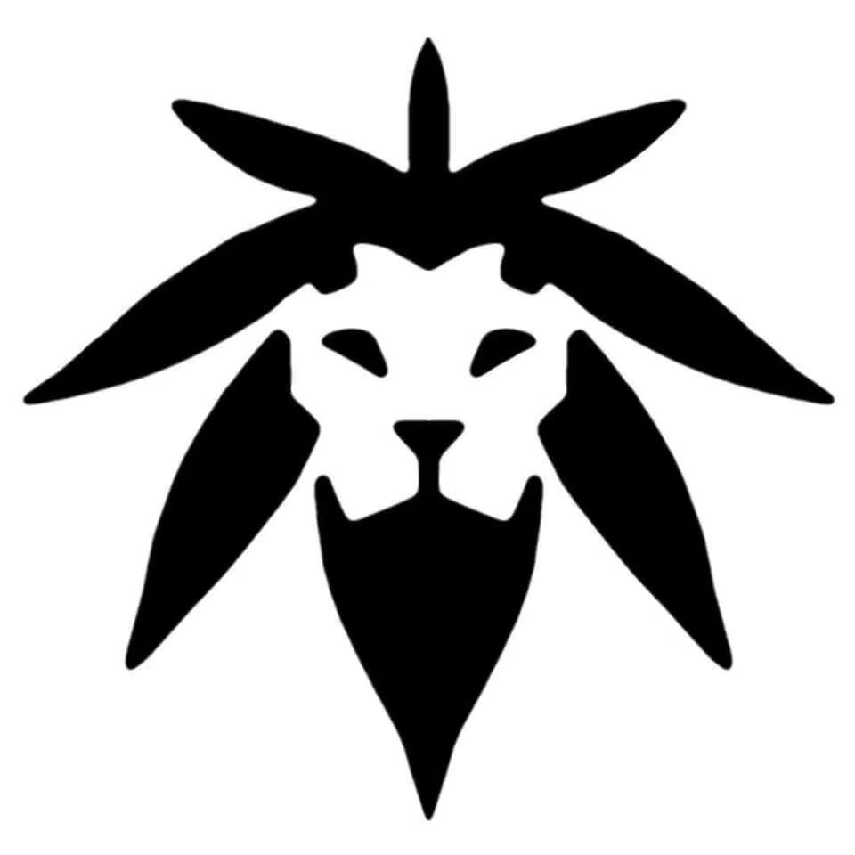 305453992_499789852154344_3125613627854058653_n